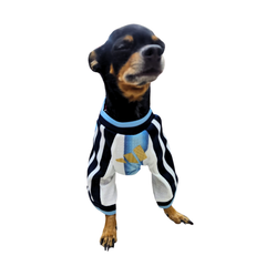 JERSEY ARGENTINA PREMIUM