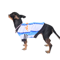 JERSEY ARGENTINA SUBLIMADO