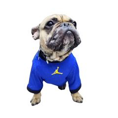 JERSEY BRASIL VISITA