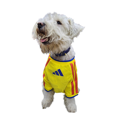 Jersey Colombia Importado para Perro