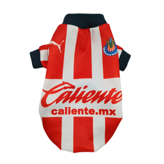 JERSEY CHIVAS SUBLIMADO
