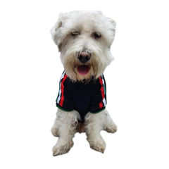 JERSEY MEXICO NEGRO AFICIONADO