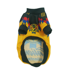 JERSEY AMERICA SUBLIMADO