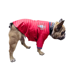 Jersey Selección de Portugal para Perro