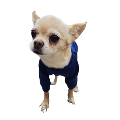 SUDADERA OSO GOOD AZUL MARINO