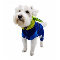 Botarga Marcianito Toy en perro schnauzer de pie