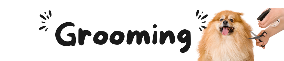 GROOMING