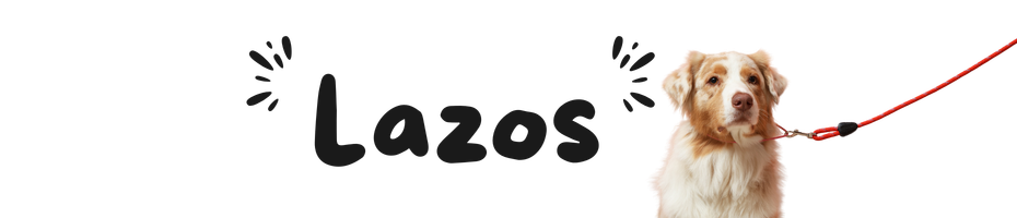 LAZO