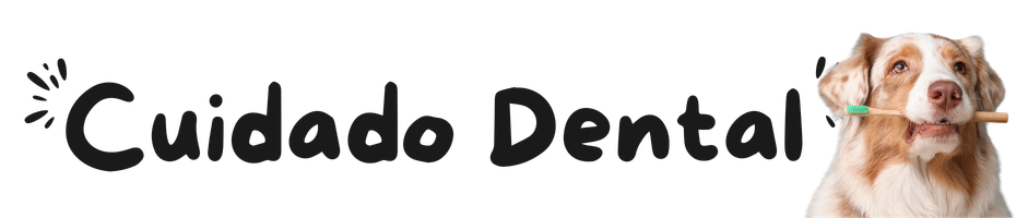 CUIDADO DENTAL