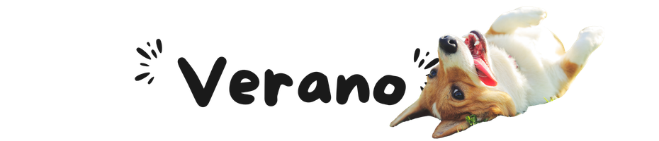 VERANO