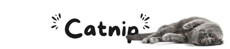 CATNIP