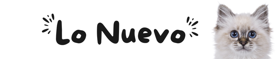LO NUEVO