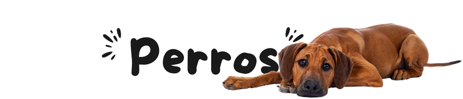 PERROS