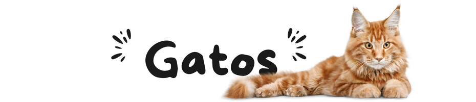 GATOS