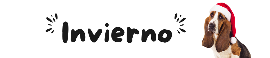 INVIERNO