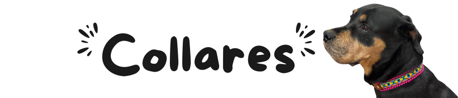 COLLARES