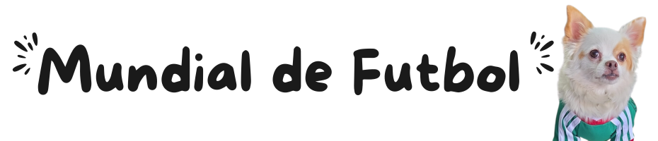MUNDIAL DE FUTBOL