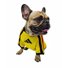 Jersey Club América Local (Premium) para Perros y Gatos