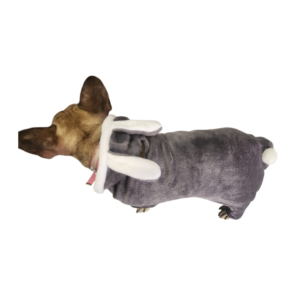 BOTARGA CONEJO GRIS