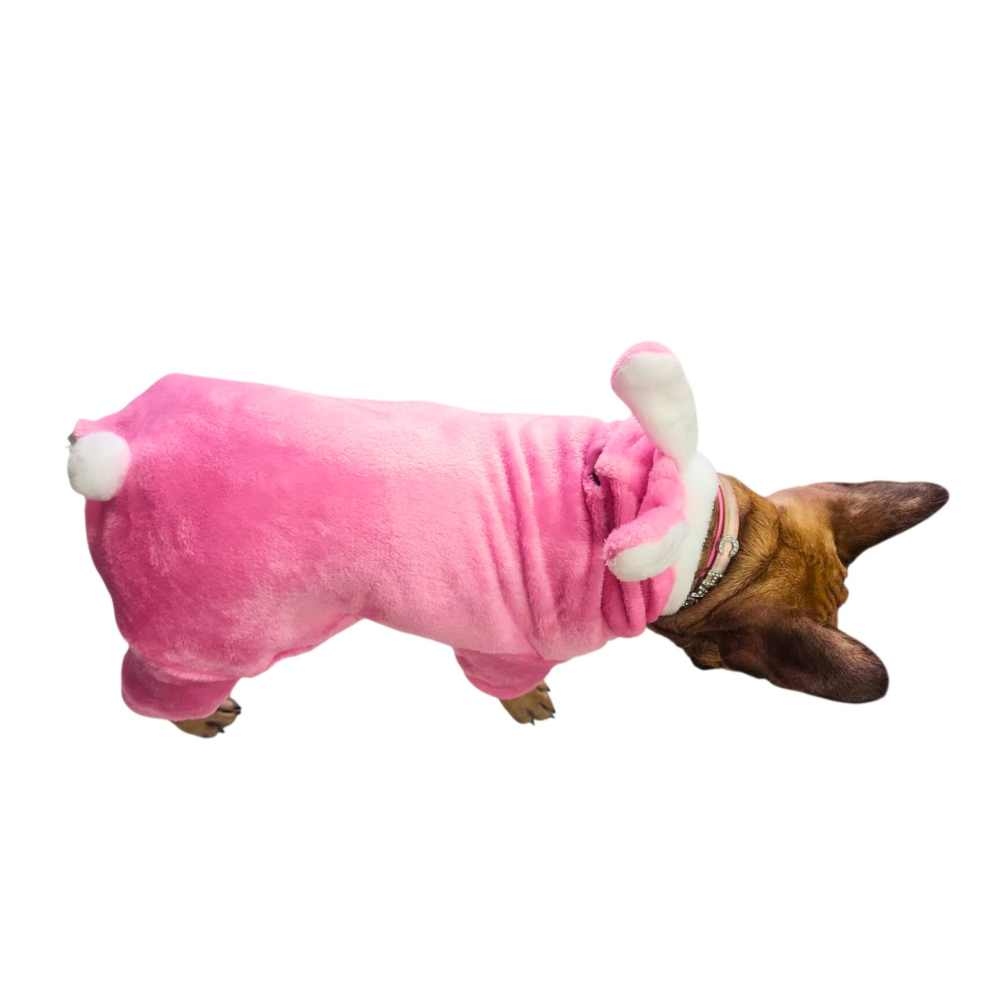 BOTARGA CONEJO ROSA