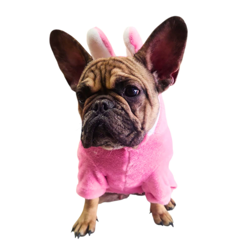 BOTARGA CONEJO ROSA