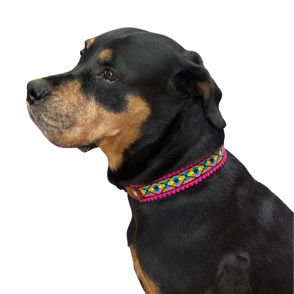 COLLAR PIEL NATURAL HUICHOL 3 CM