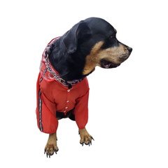 IMPERMEABLE DINOSAURIO