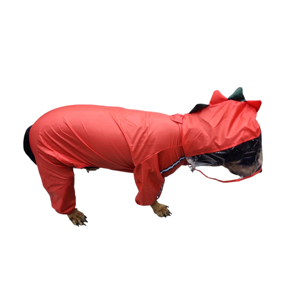 IMPERMEABLE DINOSAURIO