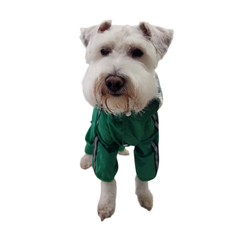 IMPERMEABLE RANA