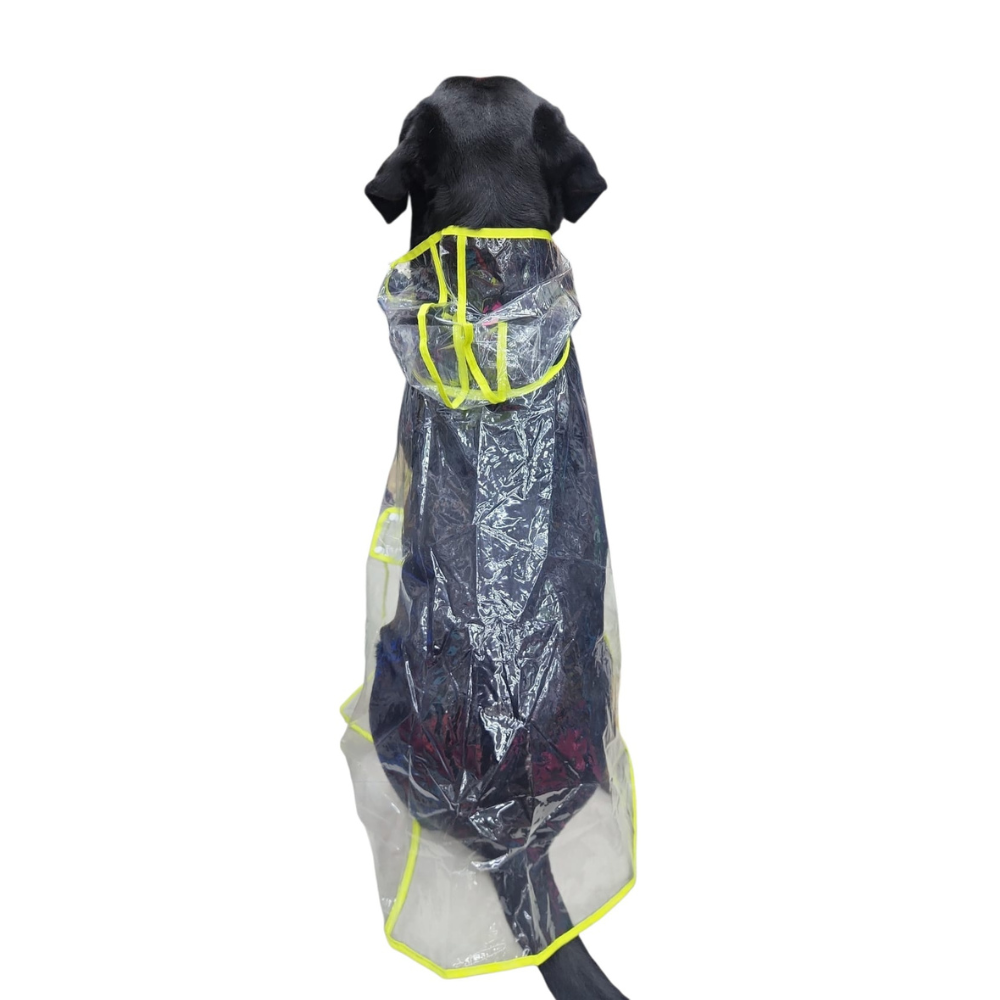 IMPERMEABLE TRASPARENTE