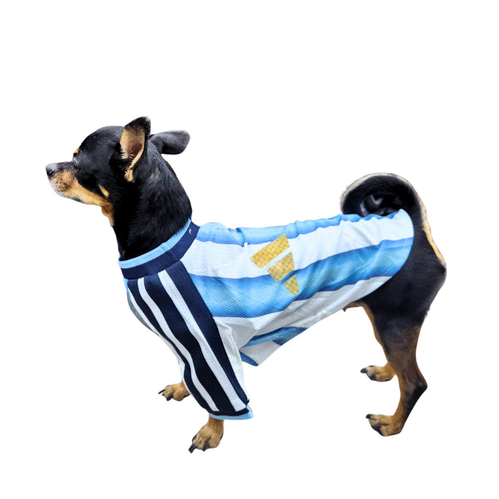 JERSEY ARGENTINA PREMIUM