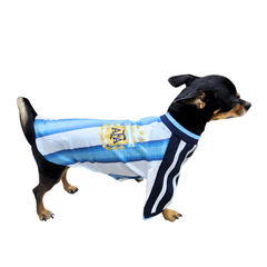 JERSEY ARGENTINA PREMIUM