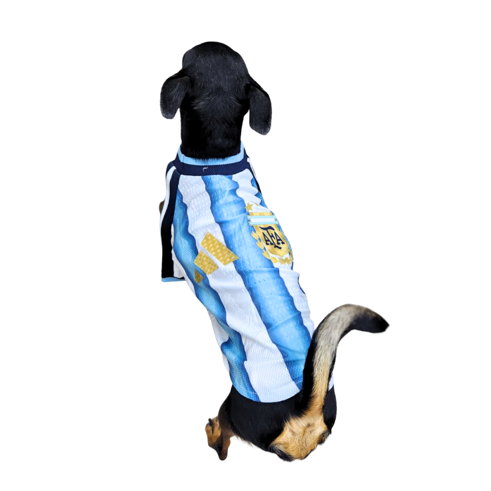 JERSEY ARGENTINA PREMIUM