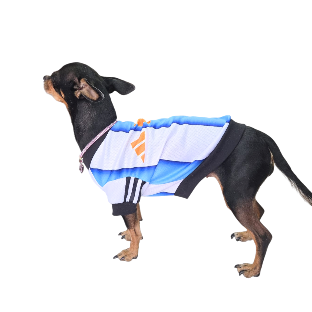JERSEY ARGENTINA SUBLIMADO