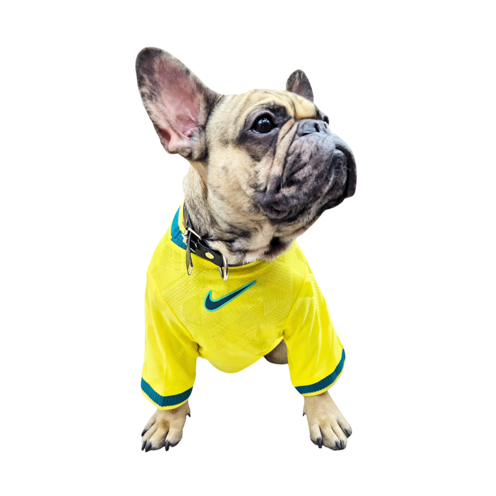 JERSEY BRASIL PREMIUM