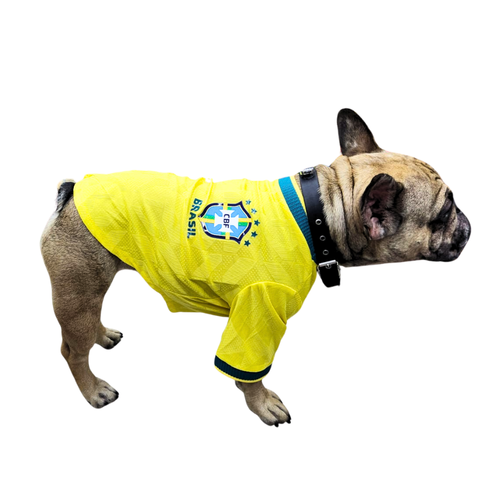 JERSEY BRASIL PREMIUM