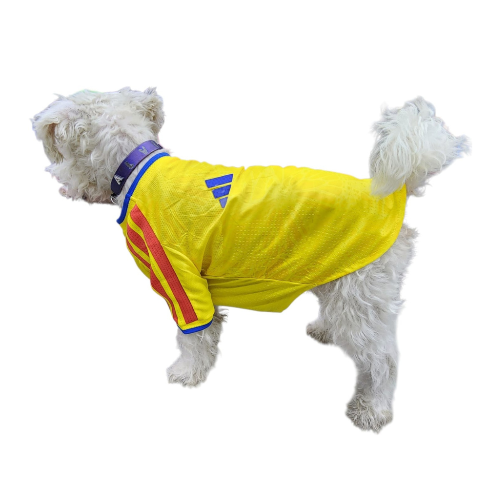 Jersey Colombia Importado para Perro