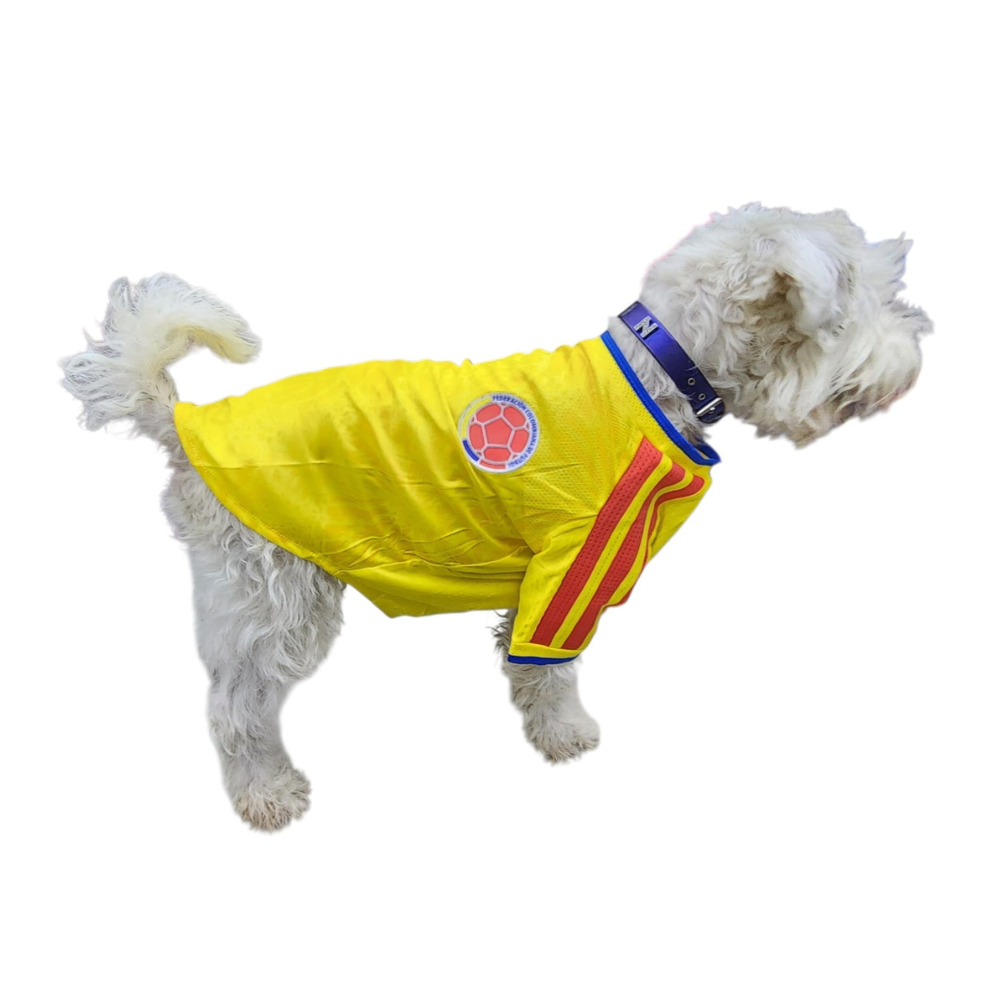 Jersey Colombia Importado para Perro