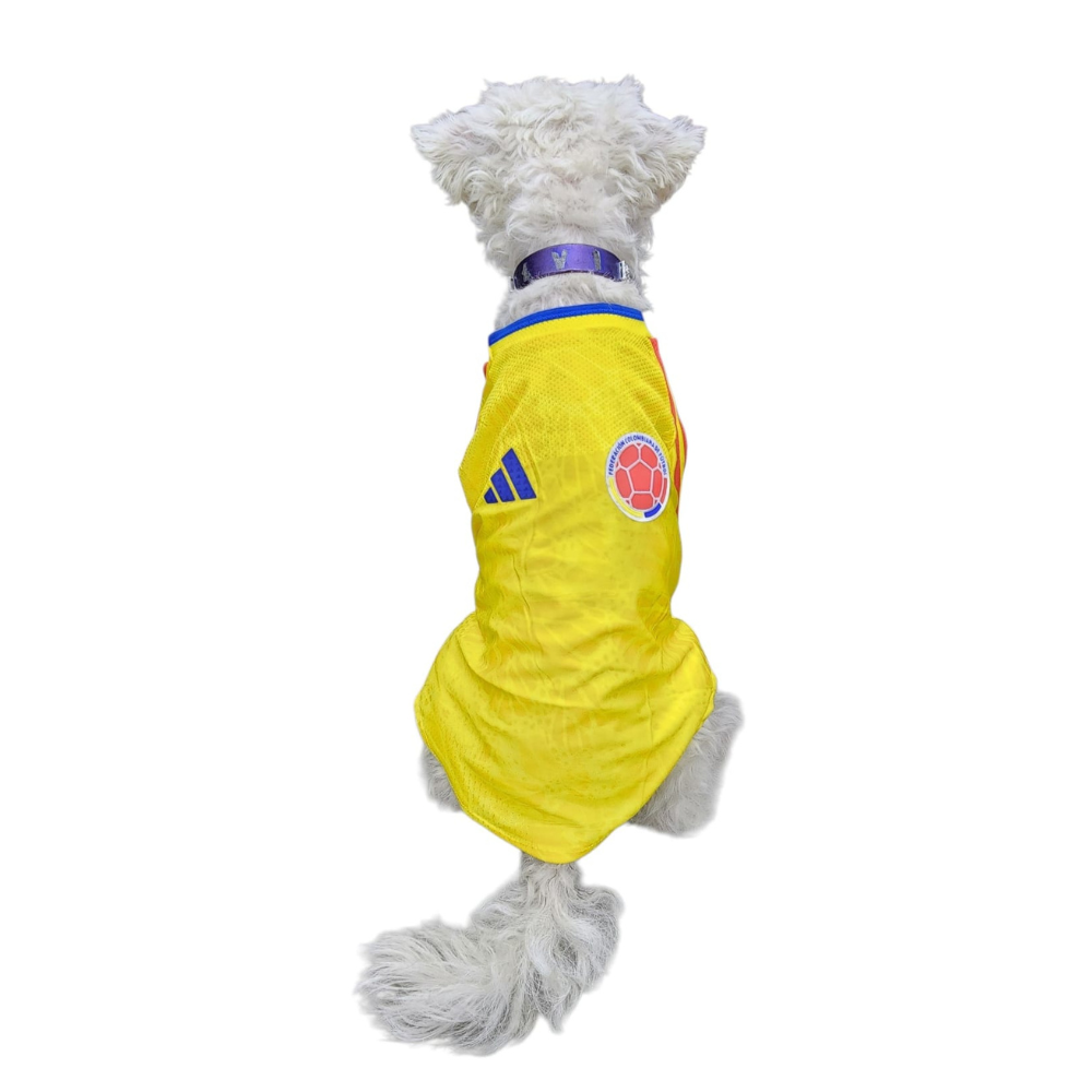 Jersey Colombia Importado para Perro