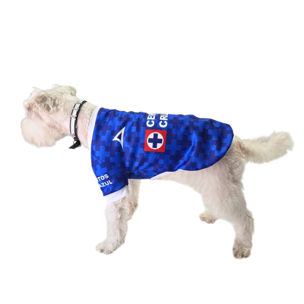 JERSEY CRUZ AZUL SUBLIMADO