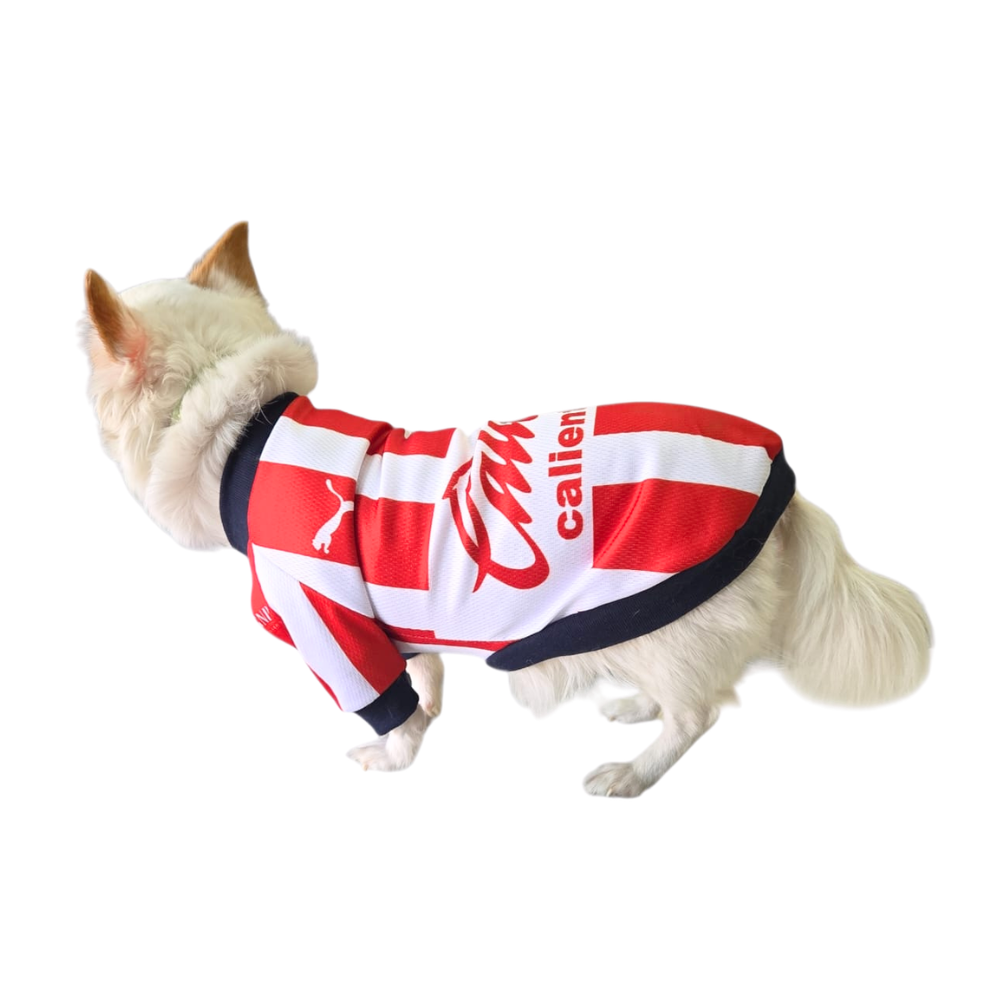 JERSEY CHIVAS SUBLIMADO