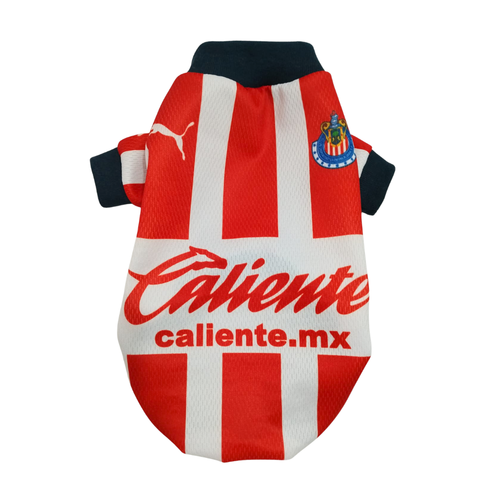 JERSEY CHIVAS SUBLIMADO