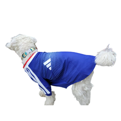 JERSEY JAPÓN IMPORTADO