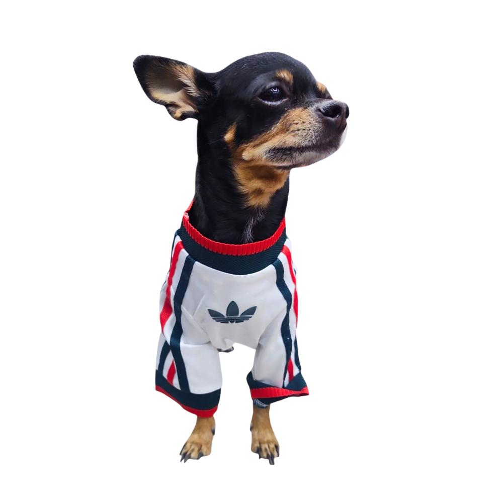 Jersey Selección Mexicana Blanco para Perro Premium - Mundial 2026