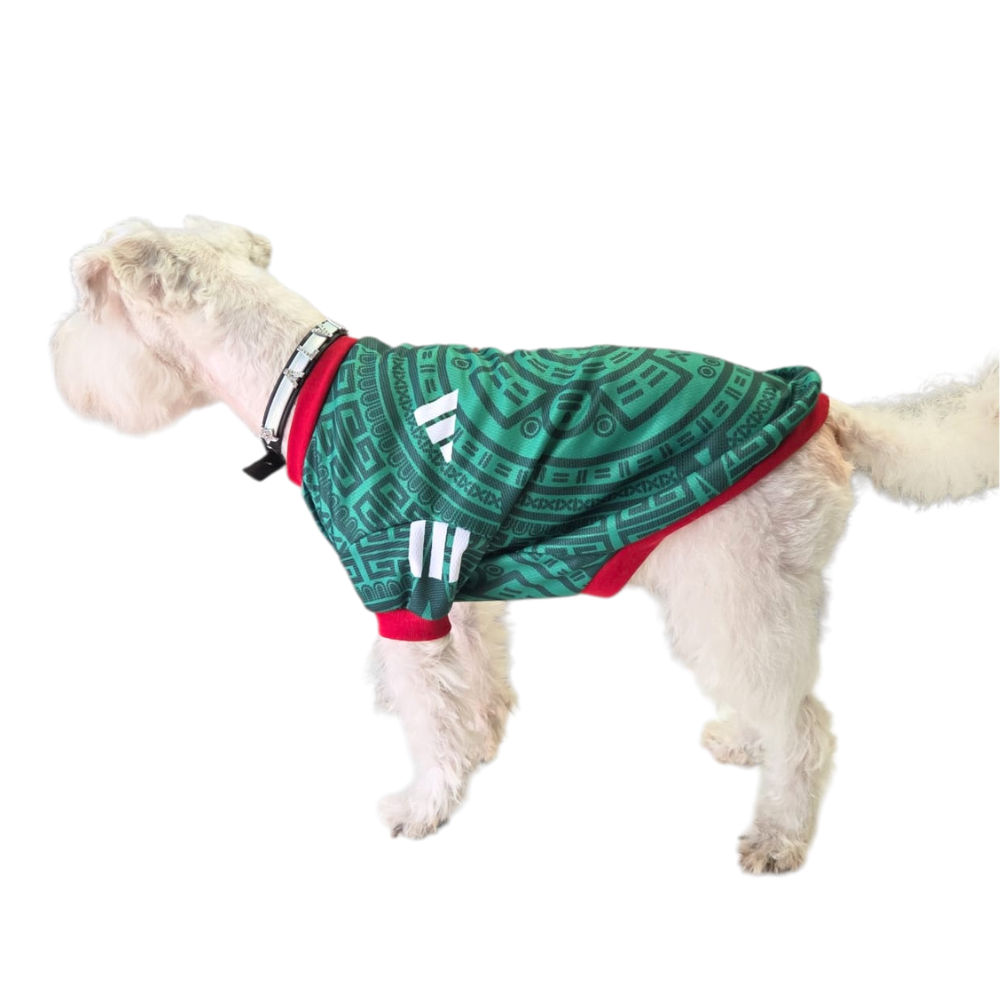 JERSEY MEXICO VERDE SUBLIMADO