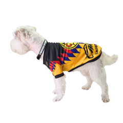 JERSEY AMERICA SUBLIMADO