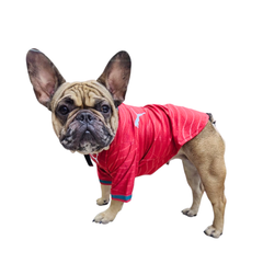 Jersey Selección de Portugal para Perro