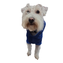 SUDADERA CAPITÁN AMERICA