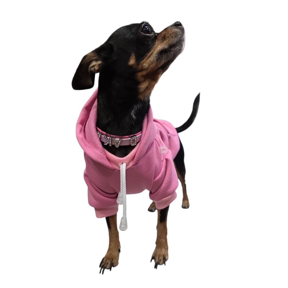 SUDADADERA GAP HEMBRA ROSA