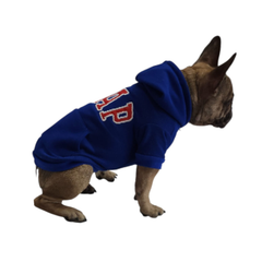 SUDADERA GAP AZUL REY